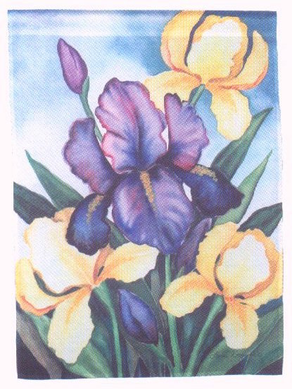Irises