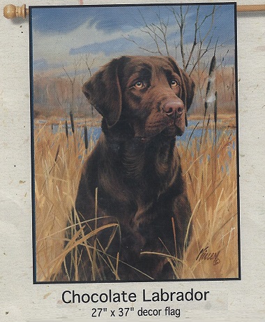 Chocolate Labrador Printed Banner