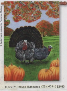 Turkey Decorative Banner